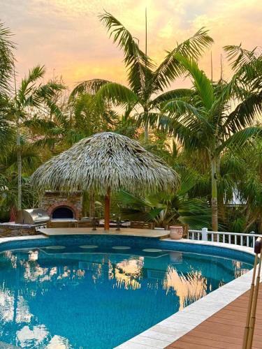 Brand New Tropical 2-bedroom Villa with Resort Amenities in Harlem Heights