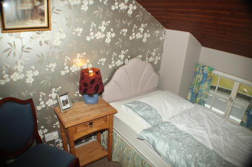 Lledr House Hostel - image 2