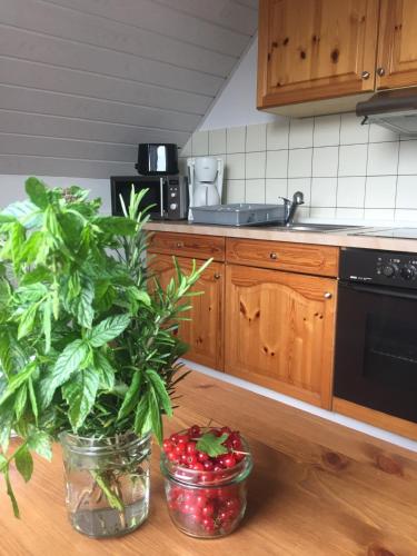 Äpfel und Elbe (Apfel und Elbe) in Hollern-Twielenfleth