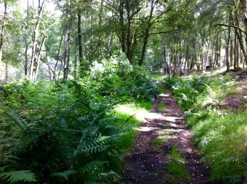Bamff Ecotourism - image 12