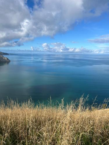 Strand, Starboard Retreat in Mahia