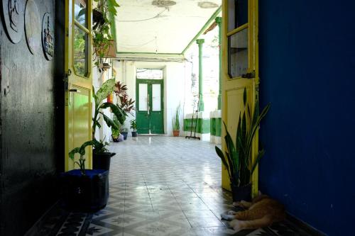 Étterem, Hostel Divino do Carmo in Olinda