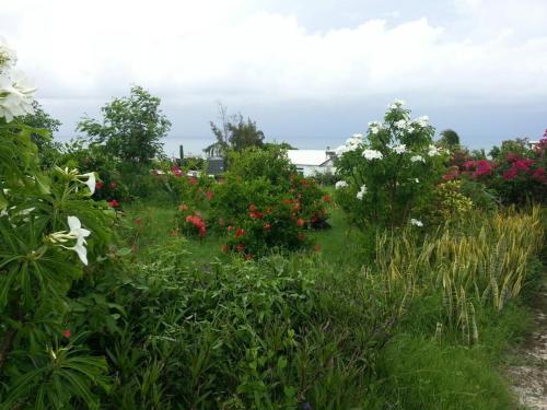 Hebergement Vue Sur Mer in Caverne Provert