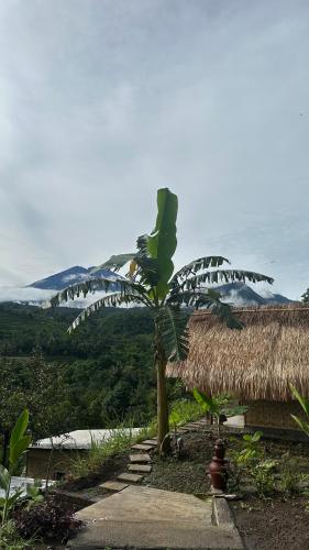 Laa Cabana Lombok Glamping Laa Cabana Lombok Glamping
