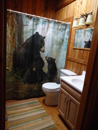 4BR ski on ski off Hunter Mountain Highlands Condo, Hunter (foto 6)