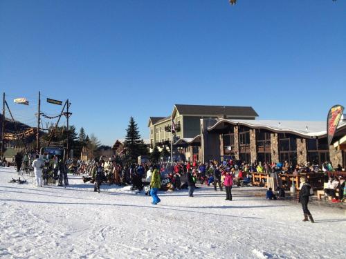 4BR ski on ski off Hunter Mountain Highlands Condo, Hunter (foto 7)