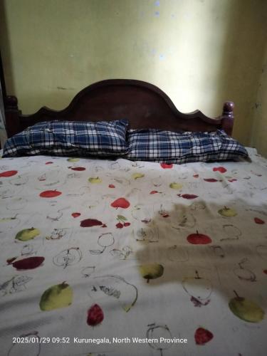 Saman villa in Kurunegala