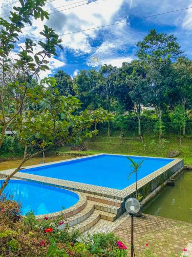 Zenith by Nginapsini Zenith by Nginapsini