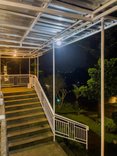 Zenith by Nginapsini Zenith by Nginapsini