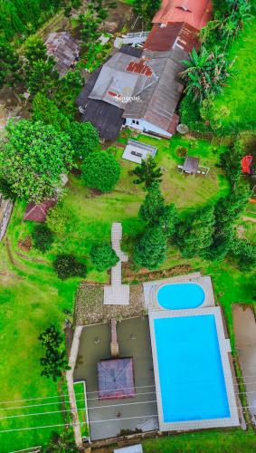 Zenith by Nginapsini Zenith by Nginapsini