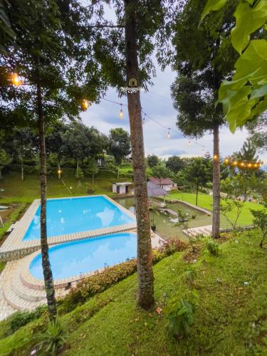 Zenith by Nginapsini Zenith by Nginapsini