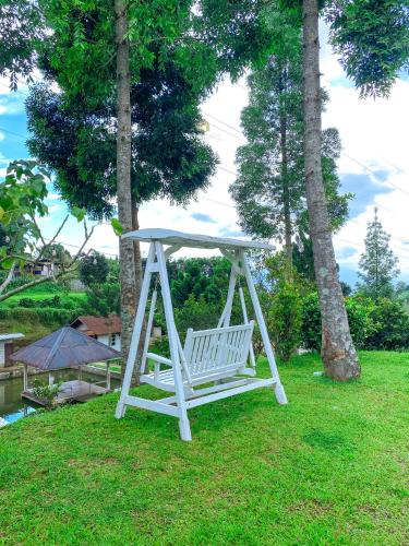 Zenith by Nginapsini Zenith by Nginapsini