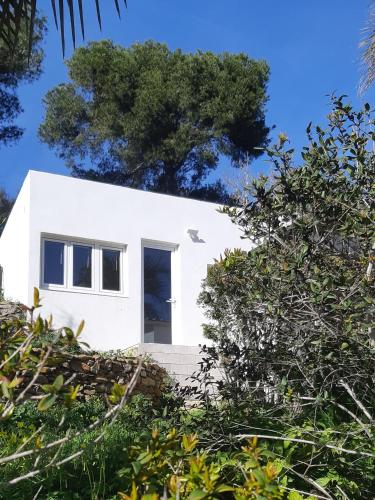 Les Bromélias Ile du Levant - Location saisonnière - Hyères