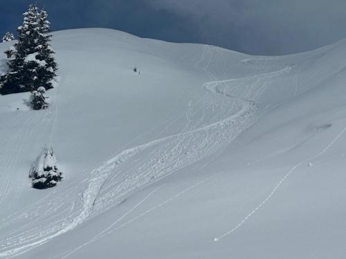 Bed & Breakfast Cari a bordo pista in Campello