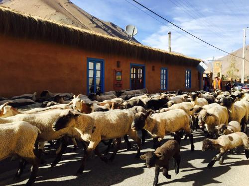 Refugio Misterios del Elqui