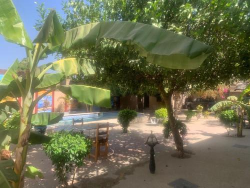 Auberge Keur Ely in Ouoran