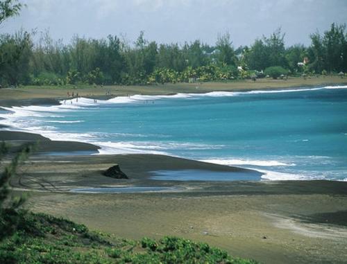 Appt Luxe Corail Bleu 6 pers 50m Plage - Location saisonnière - L'Étang-Salé