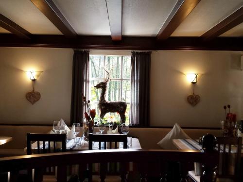 餐廳, 維吉爾曼BIO蘭德豪斯艾姆伍達恩塔爾酒店 (Wegermann`s BIO-Landhaus im Wodantal) in 哈廷根