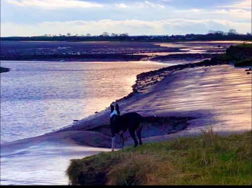 Cute Cottage in Historic Port Carlisle 12miles from M6 in Port Carlisle