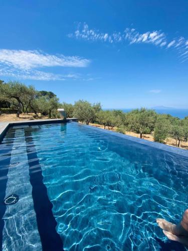  “CapriOleum” esclusive place in 80071 Anacapri