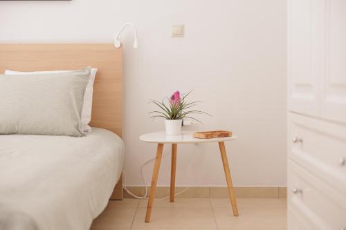 Eral Studio Eral Studio