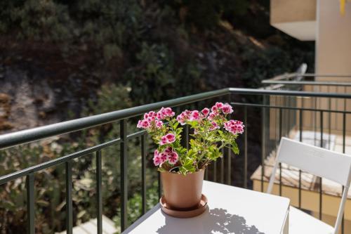 Eral Studio Eral Studio