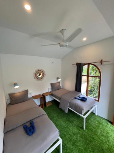Tipsea Turtle Gili Air Room Type - Twin Room with Shared Bathroom
