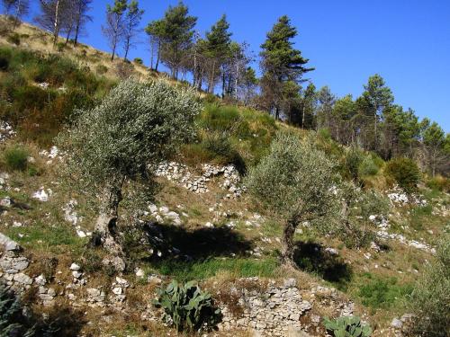 Sentieri Luminosi - image 11