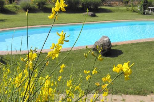 Kert, Appartamento Rustico, Wifi, Perugia in Monteleone D'Orvieto