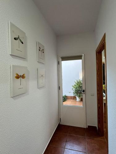 Alojamiento Casa Tía Mari (Alojamiento Casa Tia Mari) in El Robledo