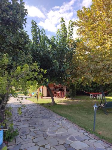 Η Αυλή, Aridaía (fotografie 6)