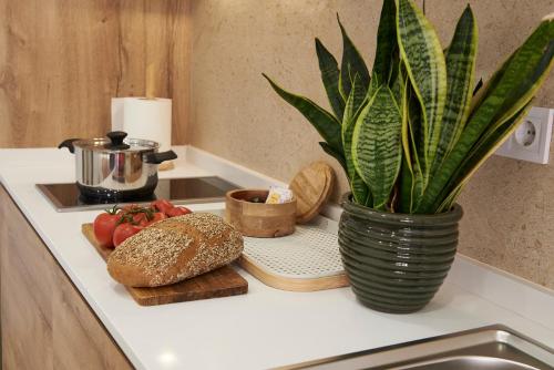Loft 9B JAIME II, Valencie (fotografie 8)