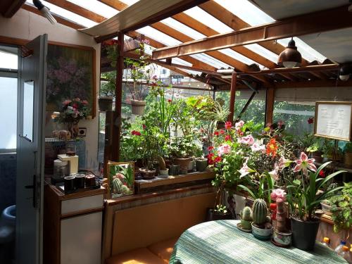 Diana Guesthouse in Veliko Tarnovo