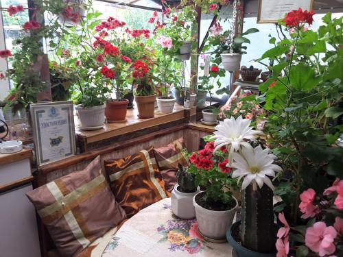 Diana Guesthouse in Veliko Tarnovo