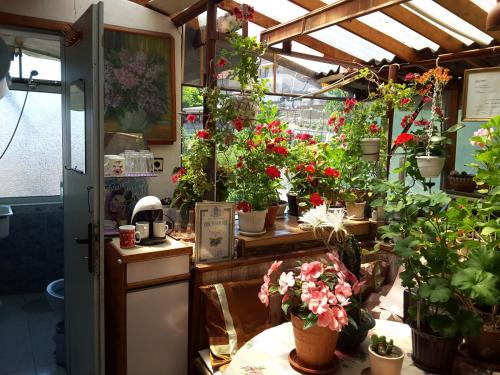 Diana Guesthouse in Veliko Tarnovo