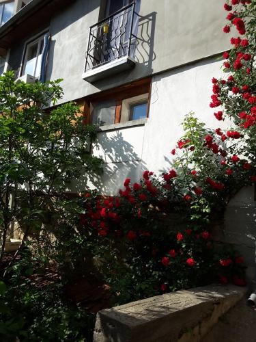 Diana Guesthouse in Veliko Tarnovo