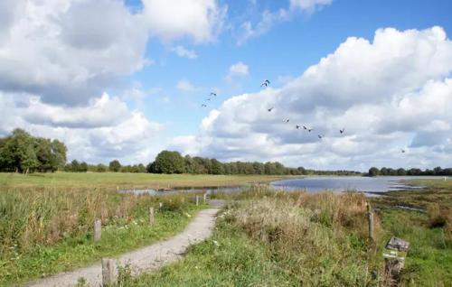 Aquacabin - image 13