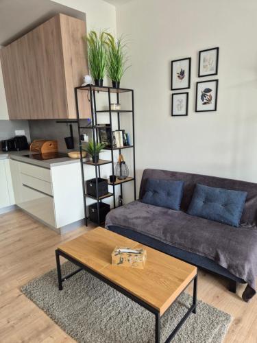 غرف النزلاء, Apartmán Danadrin Family Evergreen Tále (Apartman Danadrin Family Evergreen Tale) in Myto Pod Dumbierom