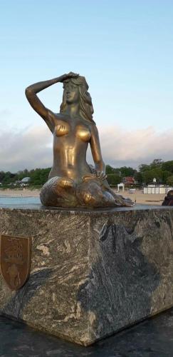 Domki Victoria