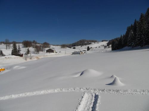 Maison isolée et calme à Septmoncel avec vue sur montagne (Maison isolee et calme a Septmoncel avec vue sur montagne) in Septmoncel