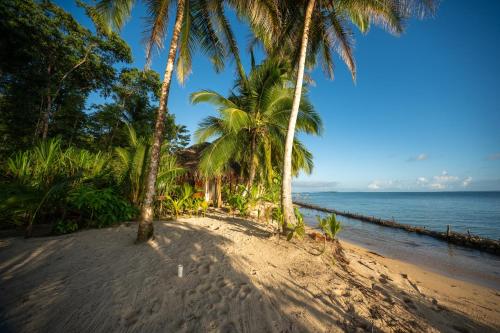 Beachfront House at La Vida Resort in Old Point
