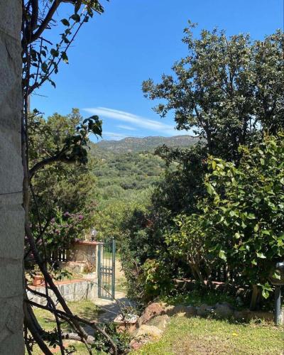 Villa azzurra tra le coste del sud - Cavoli Island