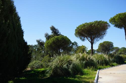 Complejo Turístico Rural Nazaret De Moguer