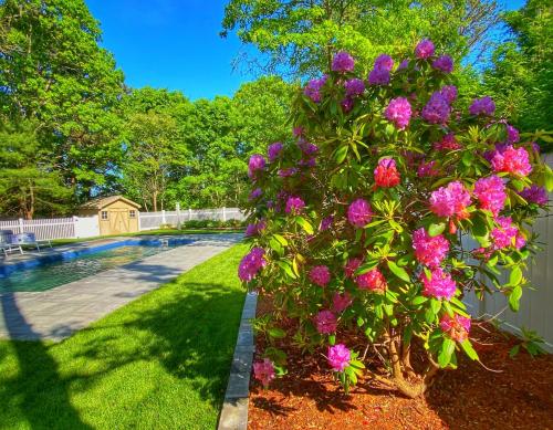 Overlook Poolside Getaway With Seasonal Pool Overlook Poolside Getaway With Seasonal Pool