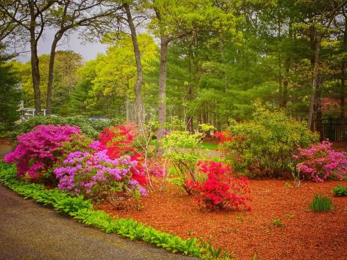 Overlook Poolside Getaway With Seasonal Pool Overlook Poolside Getaway With Seasonal Pool