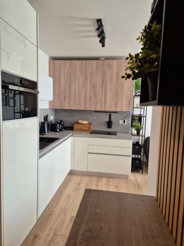 مطبخ, Apartmán Danadrin Family Evergreen Tále (Apartman Danadrin Family Evergreen Tale) in Myto Pod Dumbierom