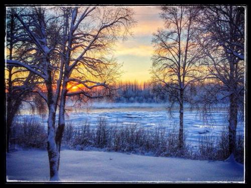 Susitna River Lodge - image 6