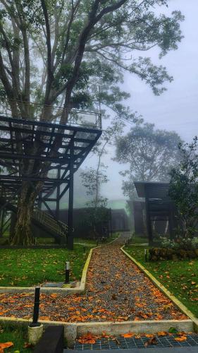 Cabaña I Moderna y Memorable Corotú Garden