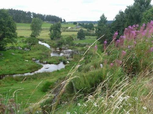 Gîte Esplantas-Vazeilles-Esplantas, 4 pièces, 8 personnes - FR-1-582-225 (Maison de charme restauree au bord d'un ruisseau avec terrasse, proche activites de plein air et con) in Laguiole
