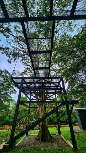 Cabaña II Moderna y Memorable Corotú Garden